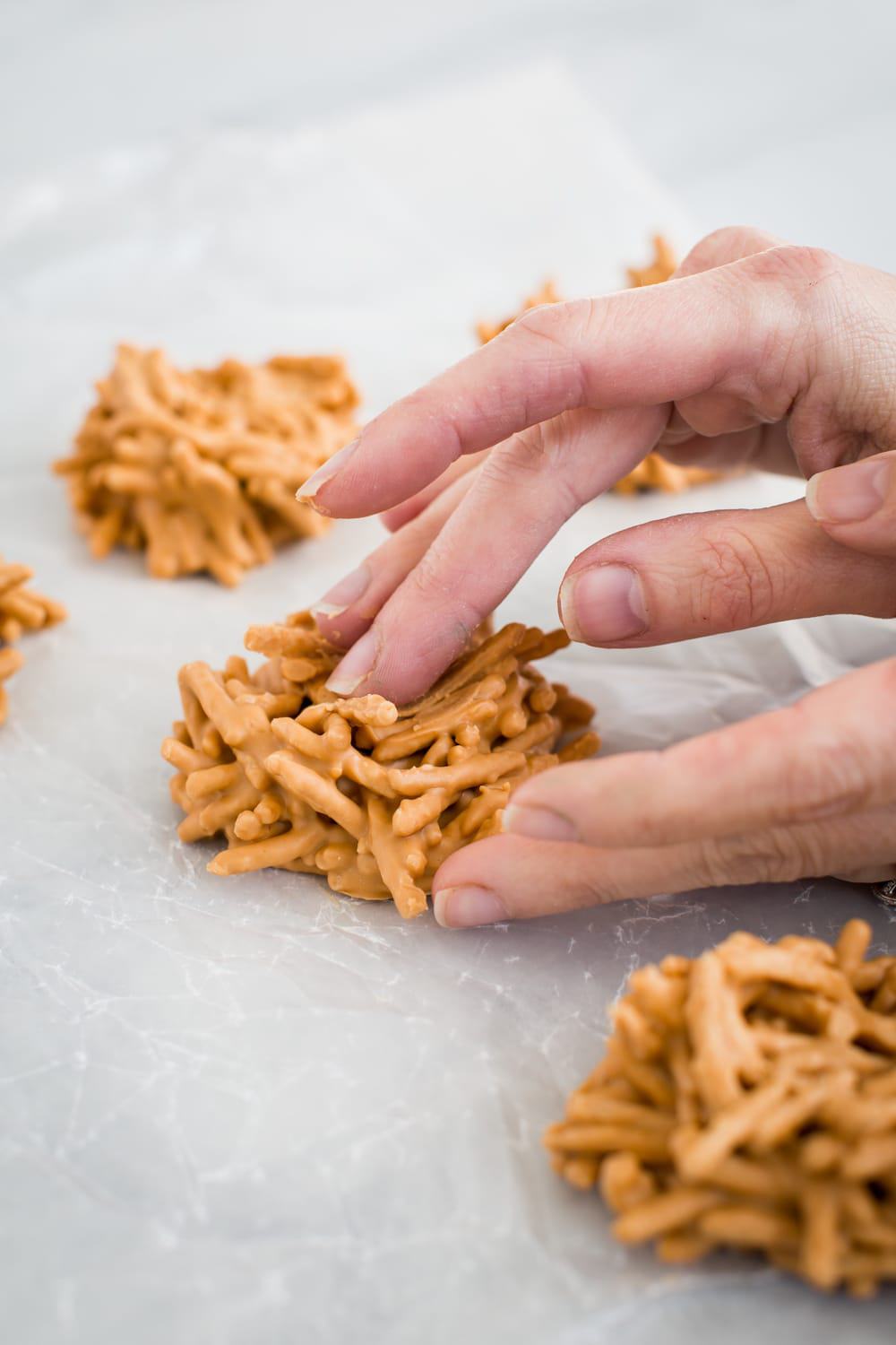 Dar forma a la siguiente galleta de pájaros.